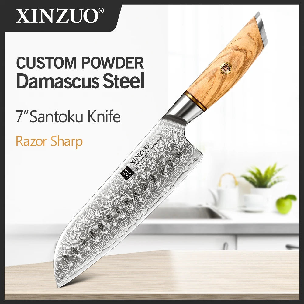 XINZUO Damascus Steel Knife with Olive Wood Handle