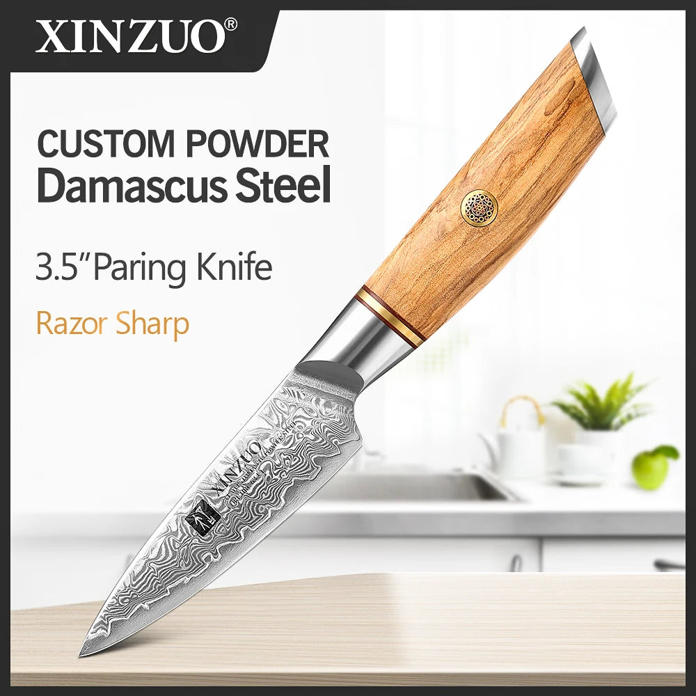 XINZUO Damascus Steel Knife with Olive Wood Handle